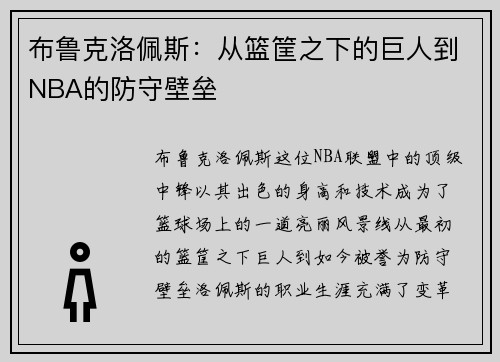 布鲁克洛佩斯：从篮筐之下的巨人到NBA的防守壁垒
